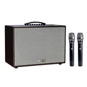 Loa karaoke Acnos CS200SON