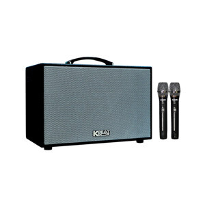 Loa karaoke Acnos CS200SON