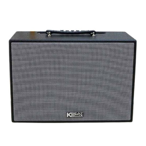 Loa karaoke Acnos CS250SON