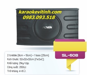 Loa karaoke Acnos SL608