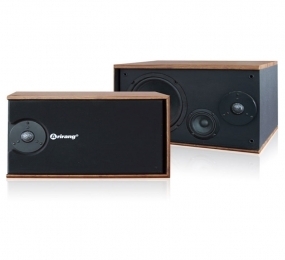 Loa karaoke Arirang 301