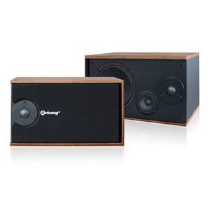 Loa karaoke Arirang 301