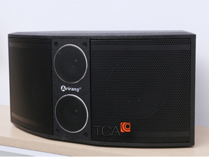 Loa karaoke Arirang S-808 (S808) (2 loa)