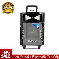 Loa Karaoke Bluetooth cao cấp SAST SA-601 - Loa kéo di động không dây hát karaoke chuyên nghiệp