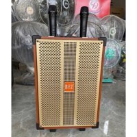 Loa karaoke bluetooth hát hay giá rẻ, loa karaoke giá rẻ, kèm micro không dây hát cực hay