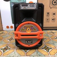 Loa karaoke bluetooth mini CXF-802