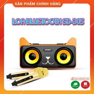 Loa karaoke bluetooth SD-305 kèm 2 mic