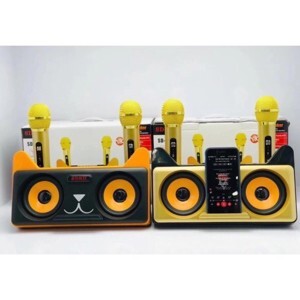 Loa karaoke bluetooth SD-305 kèm 2 mic