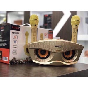 Loa karaoke bluetooth SD-306