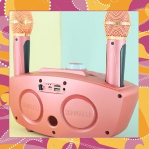 Loa karaoke bluetooth SD-306
