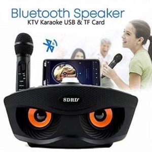 Loa karaoke bluetooth SDRD 306