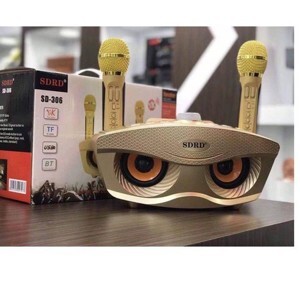Loa karaoke bluetooth SDRD 306
