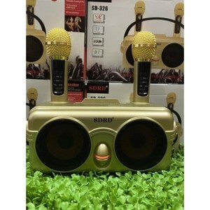 Loa karaoke bluetooth SDRD SD-326