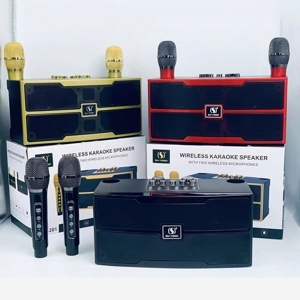 Loa karaoke bluetooth YS 201 kèm 2 micro