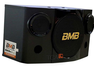 Loa Karaoke BMB CSE 308 SE