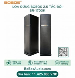 Loa karaoke BOBOS BR-1700K