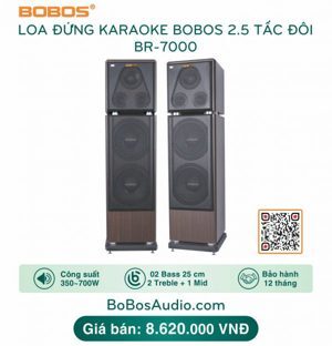 Loa karaoke BOBOS BR-7000