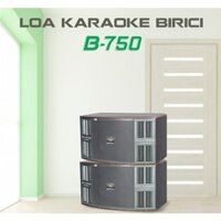 LOA KARAOKE BOSNY B-750 (LOA NẰM) - HÀNG CHÍNH HÃNG