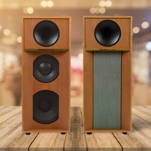 Loa Karaoke Boston Acoustics The Horn 1210