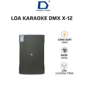 Loa karaoke CA Sound X-12
