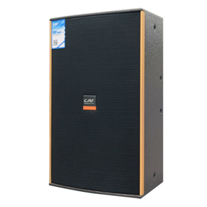 Loa karaoke CAF HN-12
