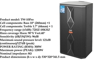 Loa Karaoke CAF TW10