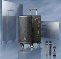 Loa karaoke cao cấp SOONTRAN SC2-208 nhập khẩu chính hãng SANSUI loa bass đôi 20CM công suất 1000W max