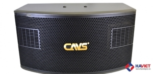 Loa Karaoke CAVS 525SE