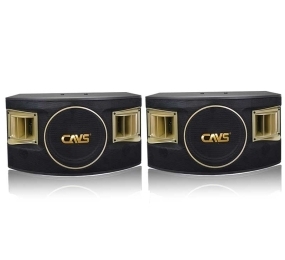 Loa Karaoke CAVS 530SE
