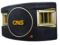 Loa karaoke CAVS 530SE