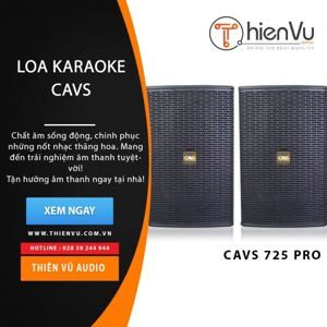 Loa Karaoke CAVS 725 Pro