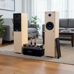 Loa karaoke CAVS A900