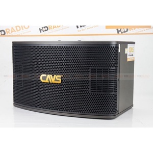 Loa Karaoke CAVS A900SE