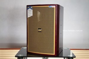 Loa karaoke Cavs LS812