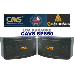Loa Karaoke CAVS SP650