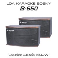 LOA KARAOKE CHUYÊN NGHIỆP BOSNY B-650