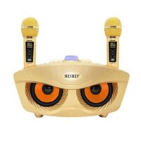 Loa Karaoke Cú Mèo SDRD SD-306 Kèm 2 Micro