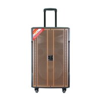 Loa karaoke Dalton TS-12G380N Bass 30 Công Suất 400W// Tặng kèm cặp Micro UHF cao cấp