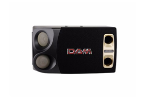 Loa karaoke DAM 1000EX