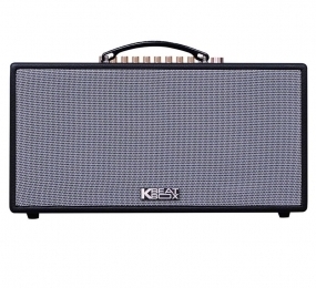 Loa karaoke di động Acnos HN447