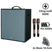 Loa Karaoke Di Động ACNOS CS550SR