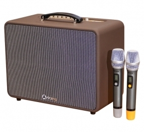 Loa karaoke di động Arirang MB5