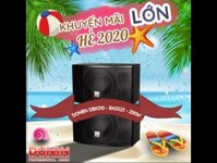 Loa karaoke Donbn DBK310 chính hãng, bass 25, công suất 200W