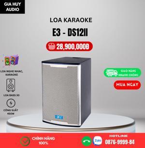 Loa karaoke E3 DS12 II