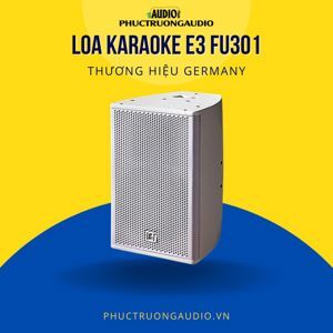 Loa karaoke E3 FU301