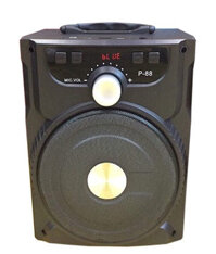 Loa karaoke giá rẻ P88, karaoke mini P88