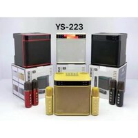 Loa Karaoke Không dây YS 223 Kèm 2 Micro, Loa Karaoke Bluetooth Có đèn LED Nháy Theo Nhạc, Mic Bắt Giọng Hay