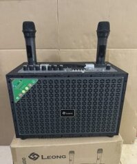 Loa karaoke Leong LO-111 Chính hãng tặng kèm 2 micro kiểu dài [Bh: 6 tháng]