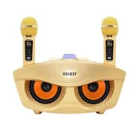 LOA KARAOKE MẮT CÚ MÈO + MICRO KHÔNG DÂY SDRD, MẪU MỚI LOA TO HƠN, MICRO HÁT HAY HƠN