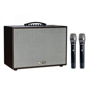 Loa karaoke mini Acnos CS200PU